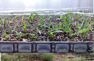 4f05122b5b4ee35a44cc4daf04b9377,8dec153d767e5a414b06868c819c406